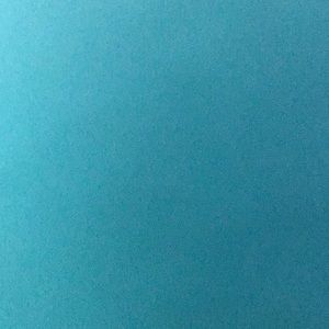 Meet your Posher, Rosa